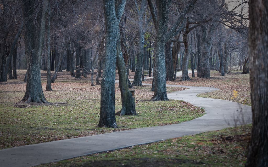 Concrete Walkway Design: Straight Lines vs. Curved Paths photo 2