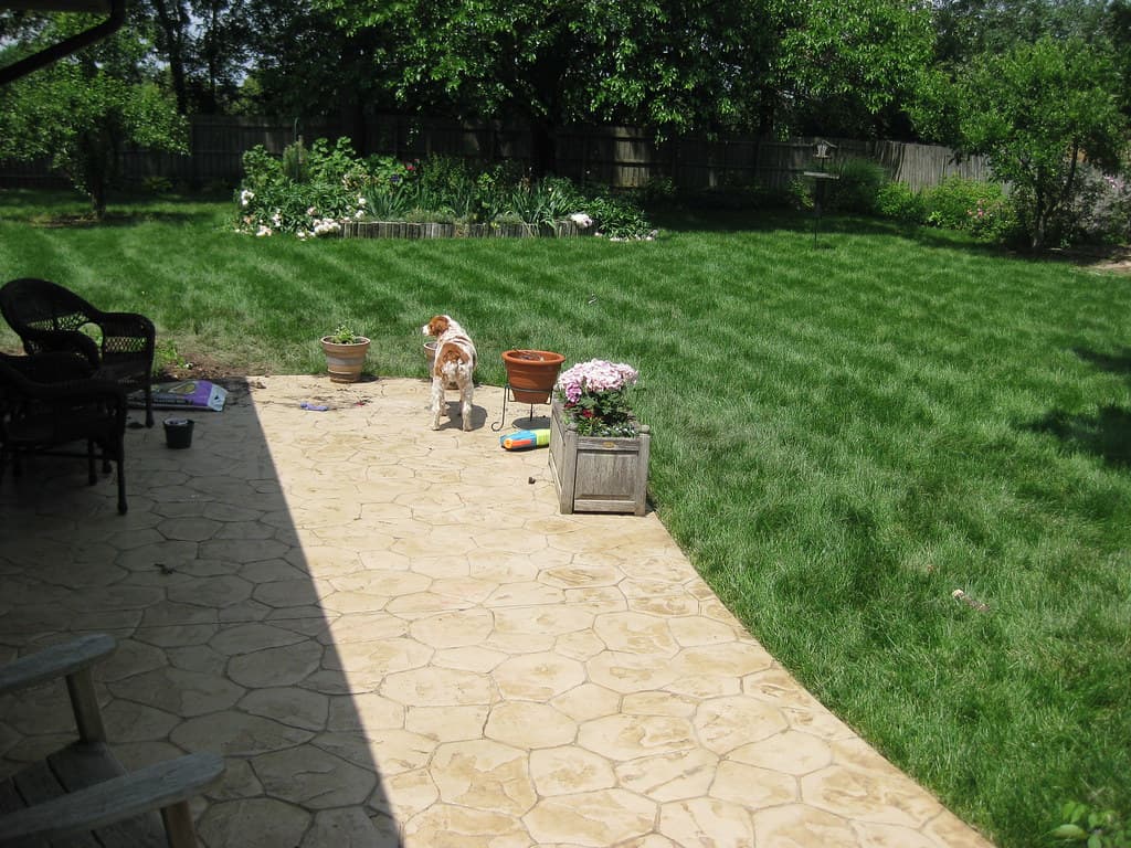 Outdoor Concrete in Ontario: Patios, Walkways, Steps, and Pool Decks