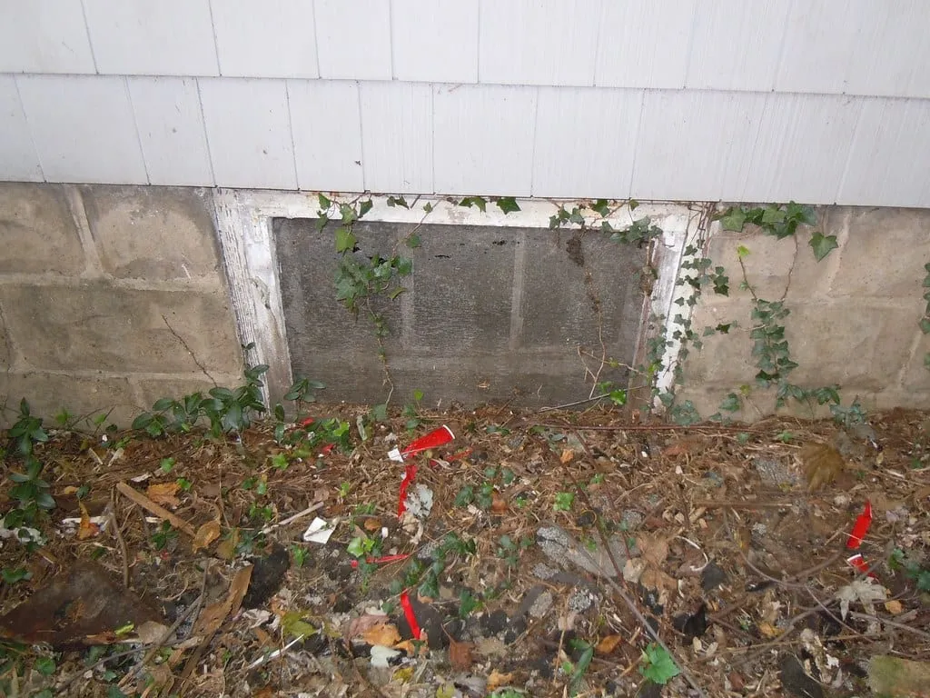 Egress Window Requirements for Ontario Basements, Explained photo 2