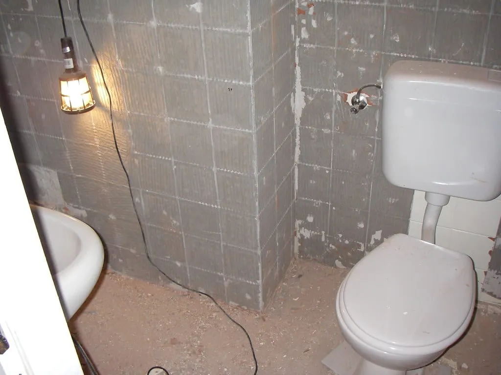 Bathroom Renovation Timeline, Week by Week photo 1