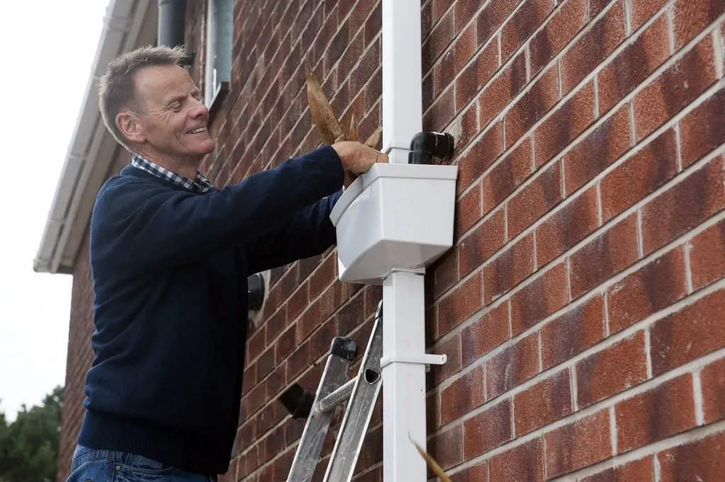 Fall Home Maintenance That Protects a New Renovation