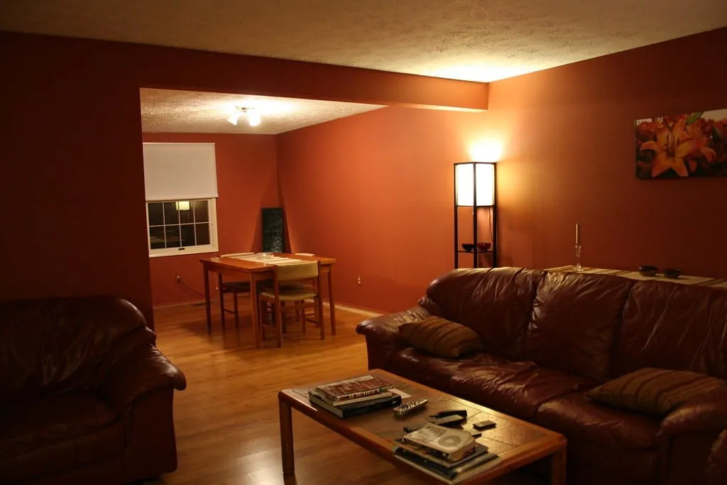 Fall Home Maintenance That Protects a New Renovation photo 4