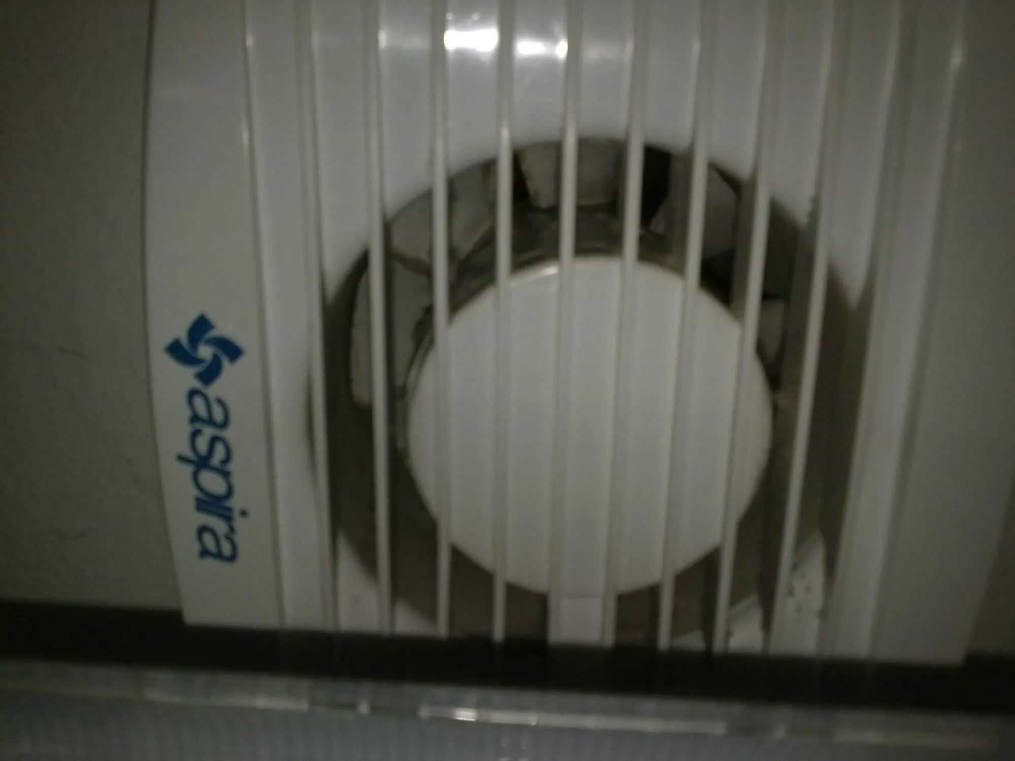 Preventing Mold and Moisture in a Finished Ontario Basement photo 2