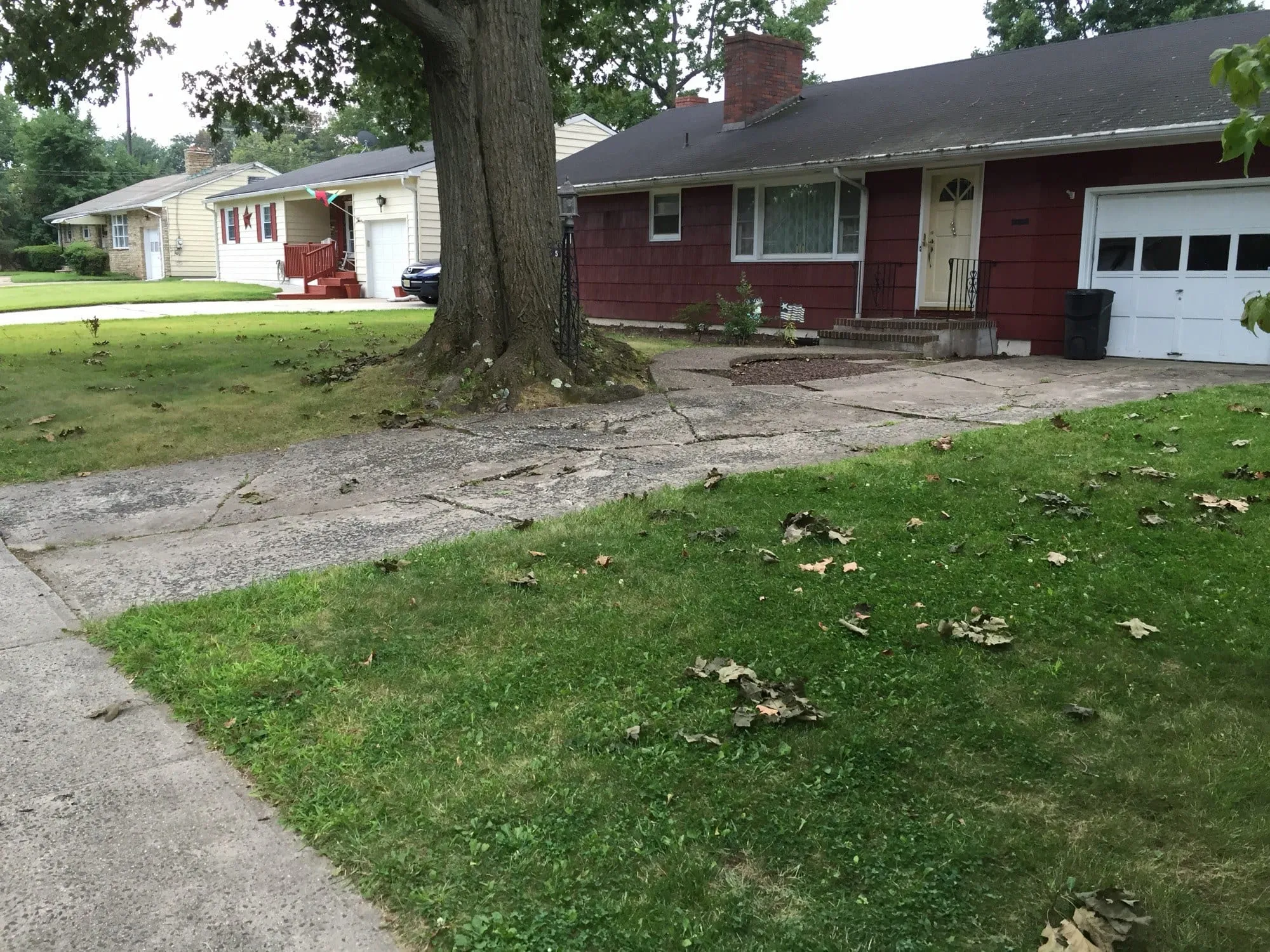 Spring Prep for a Concrete or Renovation Project